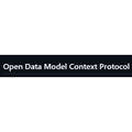 OpenDataMCP