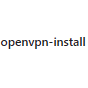 OpenVPN Install