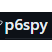 p6spy