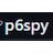p6spy