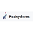 Pachyderm
