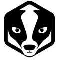 pgBadger