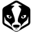 pgBadger