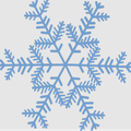 PHP Snowflake