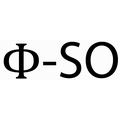 Physical Symbolic Optimization (Φ-SO)