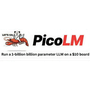 PicoLM