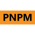 pnpm