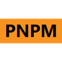 pnpm