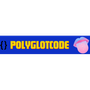 PolyglotCode
