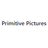 Primitive Pictures