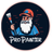 ProPainter