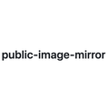 Public Image Mirror