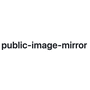 Public Image Mirror
