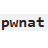 pwnat