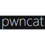 pwncat