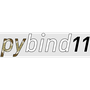 pybind11