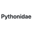 Pythonidae