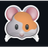 Quokka