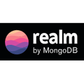 realm dotnet