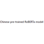 RoBERTa for Chinese