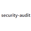 security-audit