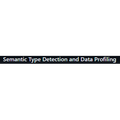 Semantic Type Detection