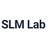 SLM Lab