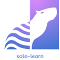 solo-learn