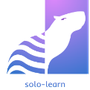 solo-learn