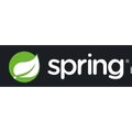 Spring Data Redis