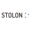 stolon