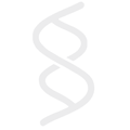 Strands Agents