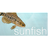 Sunfish
