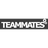 TEAMMATES Developer Web Site