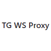 TG WS Proxy