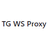 TG WS Proxy