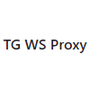 TG WS Proxy