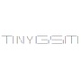 TinyGSM