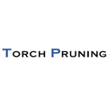 Torch Pruning
