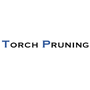 Torch Pruning