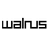 Walrus