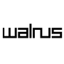 Walrus