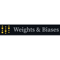 Weights and Biases