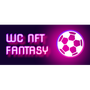 World Cup NFT Fantasy