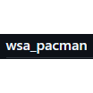 WSA PacMan