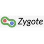 Zygote