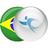 ADempiere ERP Localization Brazil Icon