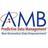 AMB Data Profiling Data Quality  