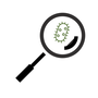 Amplicon_Sequencing_Worfklow