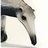 Anteater